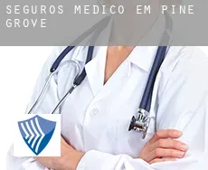 Seguros médico em  Pine Grove