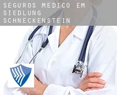 Seguros médico em  Siedlung Schneckenstein