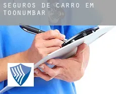 Seguros de carro em  Toonumbar