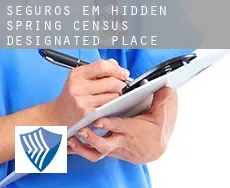 Seguros em  Hidden Spring