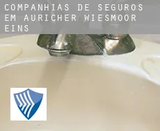 Companhias de seguros em  Auricher Wiesmoor Eins