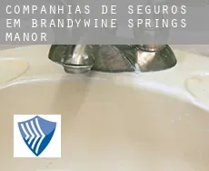 Companhias de seguros em  Brandywine Springs Manor
