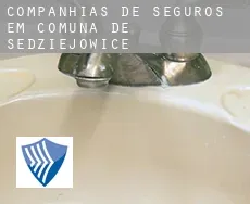 Companhias de seguros em  Comuna de Sędziejowice