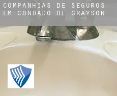 Companhias de seguros em Condado de Grayson