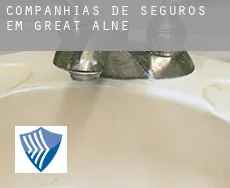 Companhias de seguros em  Great Alne