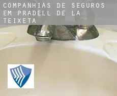 Companhias de seguros em Pradell de la Teixeta