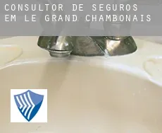 Consultor de seguros em  Le Grand-Chambonais