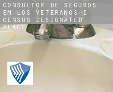 Consultor de seguros em  Los Veteranos I