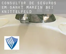 Consultor de seguros em  Sankt Marein bei Knittelfeld