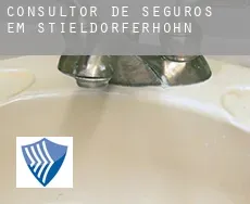 Consultor de seguros em  Stieldorferhohn