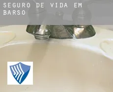 Seguro de vida em  Barso