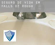 Seguro de vida em  Falls of Rough