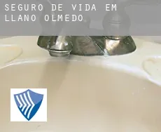 Seguro de vida em  Llano de Olmedo