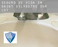 Seguro de vida em  Saint-Sylvestre-sur-Lot