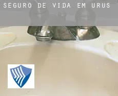 Seguro de vida em  Urús