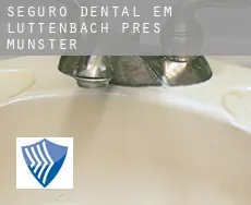 Seguro dental em  Luttenbach-près-Munster
