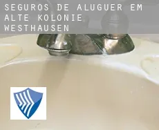 Seguros de aluguer em  Alte Kolonie Westhausen