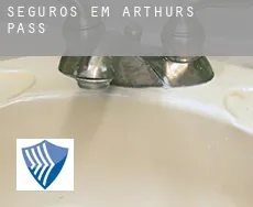 Seguros em  Arthur’s Pass