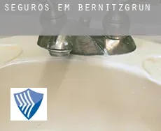 Seguros em  Bernitzgrün