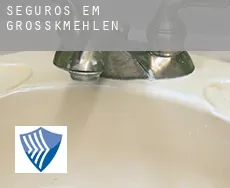 Seguros em  Großkmehlen