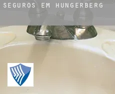 Seguros em  Hungerberg