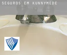 Seguros em  Kunnymede