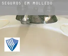 Seguros em  Molledo