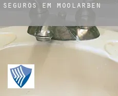 Seguros em  Moolarben