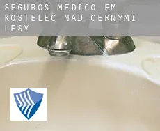 Seguros médico em  Kostelec nad Černými Lesy