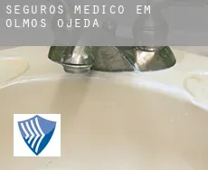 Seguros médico em  Olmos de Ojeda
