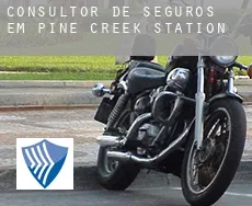 Consultor de seguros em  Pine Creek Station