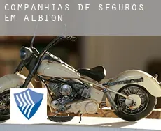 Companhias de seguros em  Albion