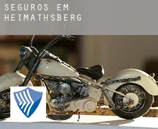 Seguros em  Heimathsberg