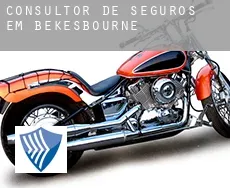 Consultor de seguros em  Bekesbourne