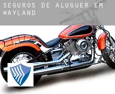 Seguros de aluguer em Wayland