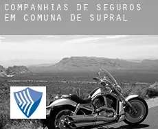 Companhias de seguros em  Comuna de Supraśl