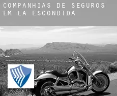 Companhias de seguros em  La Escondida