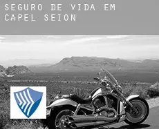 Seguro de vida em  Capel Seion