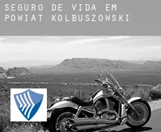 Seguro de vida em  Powiat kolbuszowski