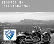 Seguros em  Hallstahammar Municipality