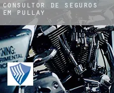 Consultor de seguros em  Pullay