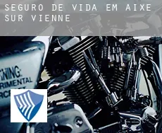 Seguro de vida em Aixe-sur-Vienne