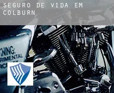 Seguro de vida em  Colburn