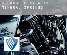 Seguro de vida em Mineral Springs