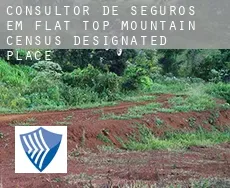 Consultor de seguros em  Flat Top Mountain