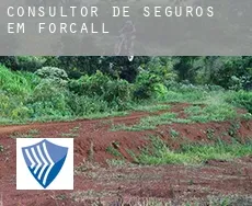 Consultor de seguros em  Forcall