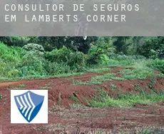 Consultor de seguros em  Lamberts Corner