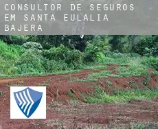 Consultor de seguros em  Santa Eulalia Bajera
