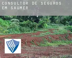 Consultor de seguros em  Saumer