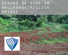 Seguro de vida em  Ballaghnatrillick Bridge